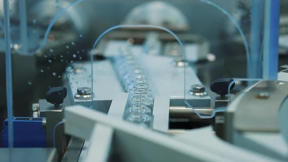 Glass Sterile Vials on the Line of a Pharmaceutical Factory That Have Been Washed, Dried and alt