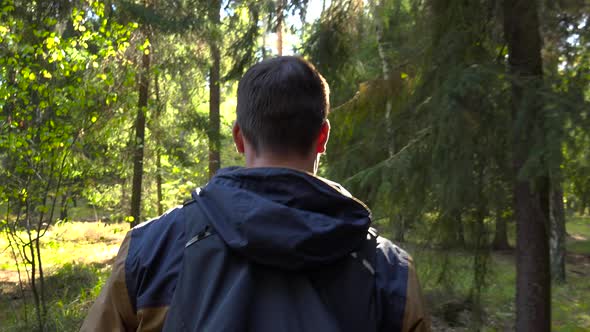 A Hiker Walks Through a Forest, Closeup From Behind alt