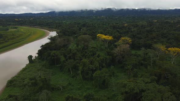 Untouched Dense Rainforest and River