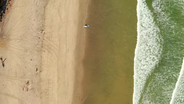 Aerial View of the Coastline Beach in San Diego in California By the Pacific alt