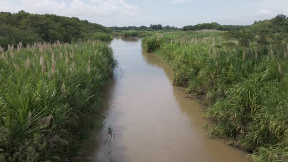 Aerial fly along shot along a sidearm of the rio cotos at Costa Rica's central pacific coast. alt