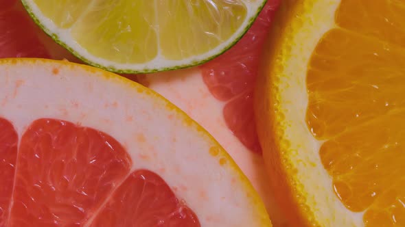 Citrus Fruit Slices Orange Grapefruit Lemon and Lime on Rotating Surface