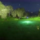 A Butterfly That Shines With Fireflies And Flies Over A Beautiful Forest (4)