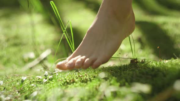 Walking Barefoot on the Ground