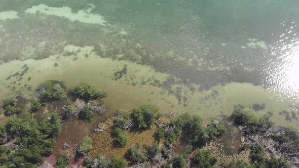 marsh coastline shallow clear ocean water the keys florida usa fishing boating summer vacation tropi alt
