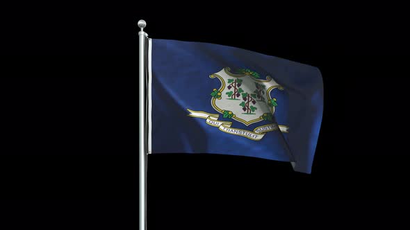Connecticut Flag Big