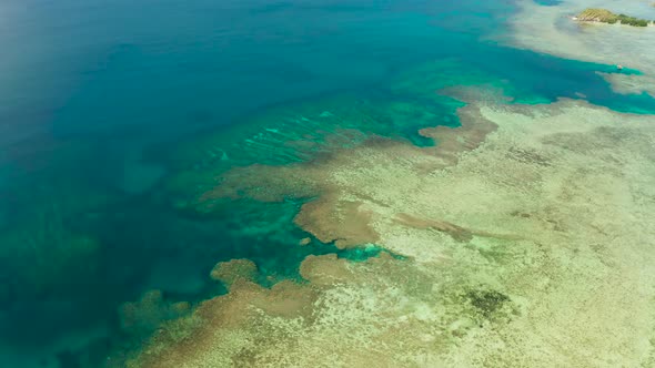 Tropical Landscape with Blue Sea and Coral Reef alt