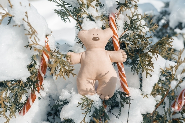 Hello winter, green bush covered with snow with textile Christmas bear toy, candi canes