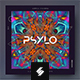 Psylo – Psytrance Music Album Cover Template