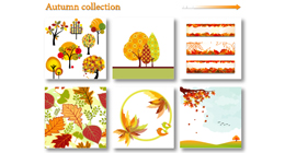 Autumn Collection