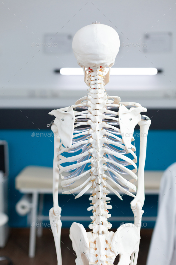 Human body skeleton standing in empty hospital office with nobody in it