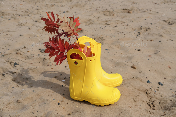 yellow rain boots on the sand. rubber boots with autumn leaves.