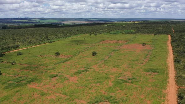 Deforested land in the Brazilian savannah will be plowed for soybean production - ascending aerial v alt
