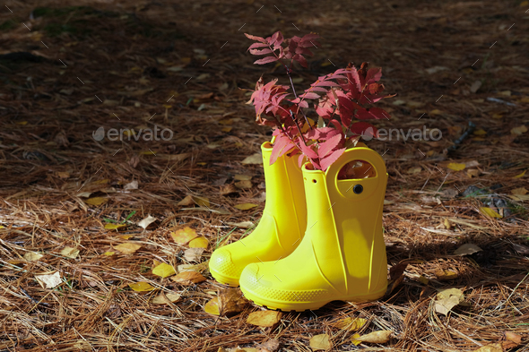 yellow rain boots in a forest. rubber boots with autumn leaves.