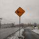 Birds road crossing sign. Alaska, USA - PhotoDune Item for Sale