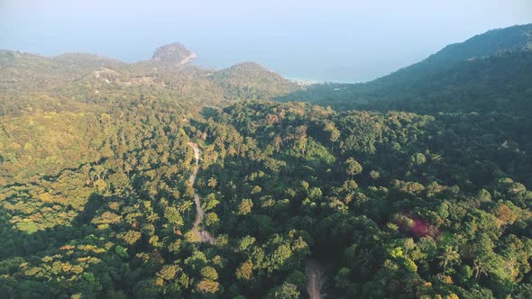 Aerial Tropical Mountain Island with Jungle Forest and Rural Road