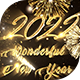 New Year Greetings - VideoHive Item for Sale