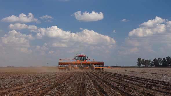 Tractor At Work