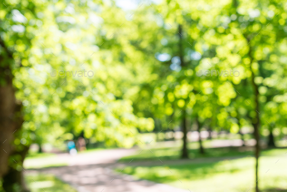 Abstract blur city park bokeh background. Blurred image of a park with  sunlight. Stock Photo by SkloStudio