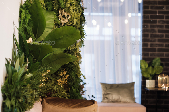 Green plants on the wall in the interior of the room. Vertical green garden in the room