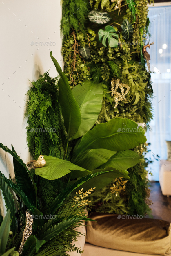 Green plants on the wall in the interior of the room. Vertical green garden in a room with a sitting