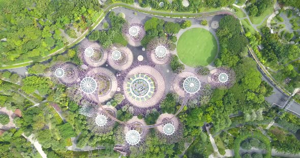 Supertree Grove Aerial Footage, Drone Is Going Down Above It Gardens By the Bay, Singapore