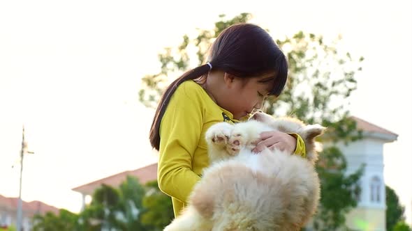 Cute Asian Girl Kissing With Siberian Husky Puppy In The Park alt