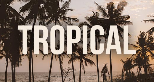 TROPICAL