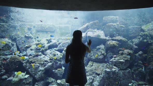 Woman Touching the Exhibit Glass in Dubai Aquarium alt
