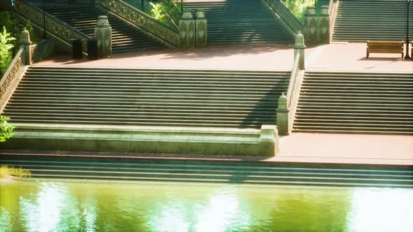 Tranquil Pond Framed By Lush Green Woodland Park in Sunshine alt