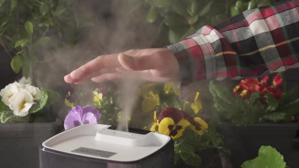 Hand over Water mist stream from a humidifier on flower pots. Automatic Technology Watering