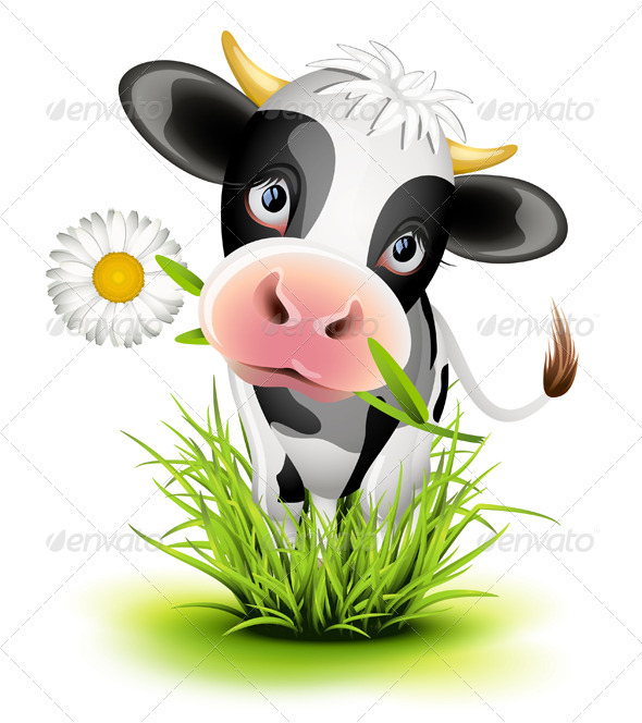 Holstein cow in grass - Animals Characters