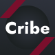 Cribe - Gym Fitness Club & Sports Center WordPress Theme