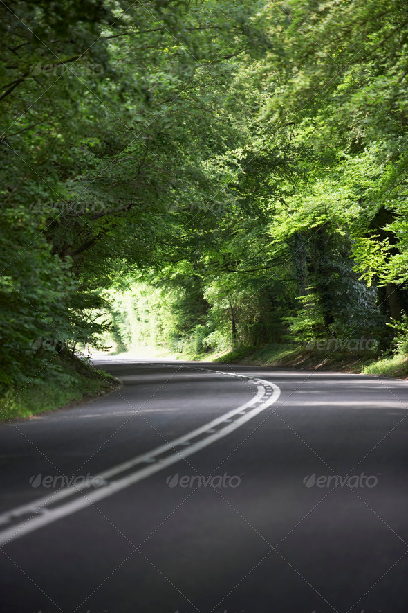 Winding lane