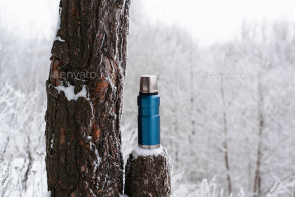 Thermos in the winter forest. Camping vacuum flask standing on stump next to a pine tree