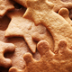 Close up picture of homemade gingerbread cookies - PhotoDune Item for Sale