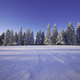 Winter landscape. Snowy fir trees. - PhotoDune Item for Sale
