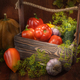 fresh vegetables in a box - PhotoDune Item for Sale