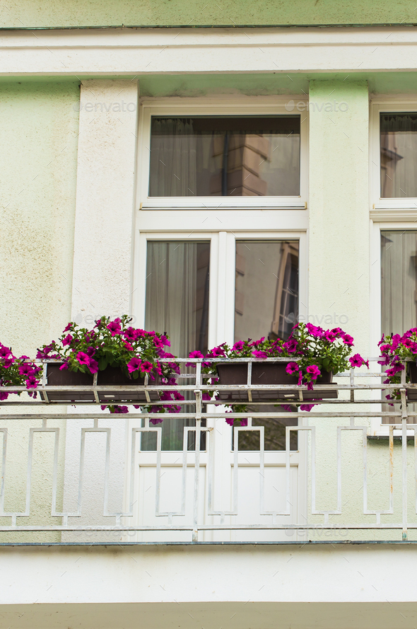 window with flower pots Stock Photo by Satura_ | PhotoDune