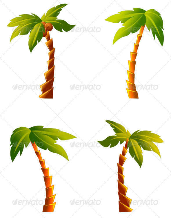 Palm Trees - Flowers & Plants Nature