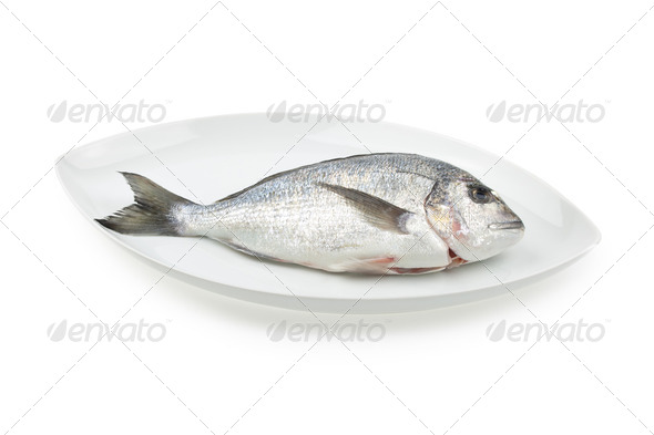 Dorada seafood on white elliptic plate with shadow. Bream fish. - Stock Photo - Images