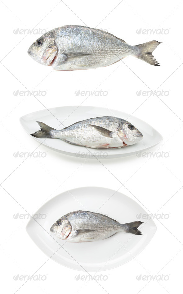Dorada seafood three samples. Bream fish, raw food. - Stock Photo - Images