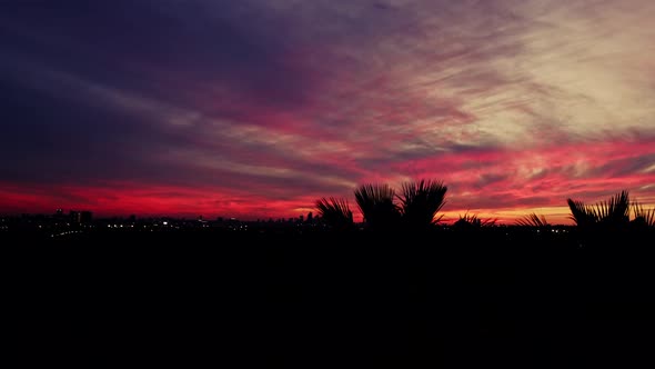 Golden sunset, red sky palm tree cityscape