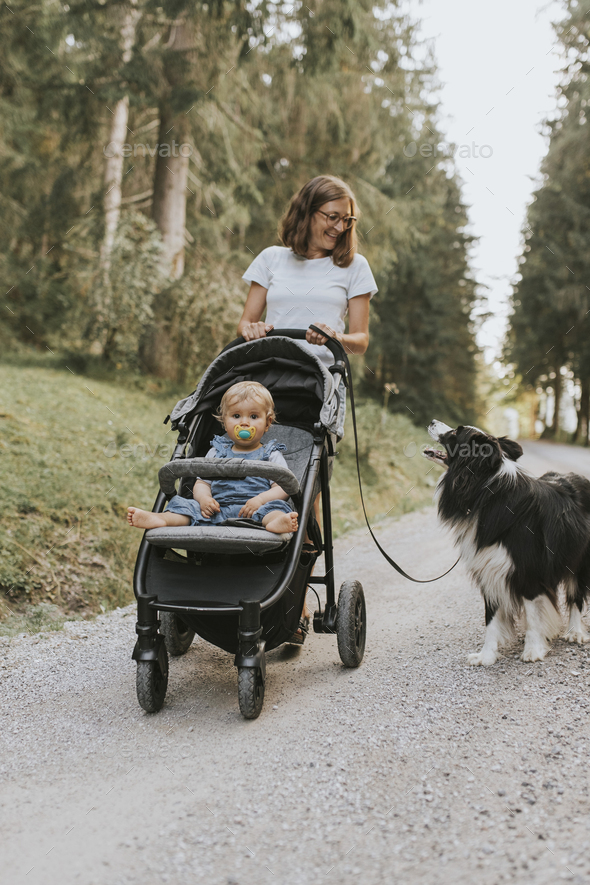 Mother with baby in stroller and dog walking on forest path