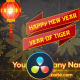 Chinese New Year Opener - DaVinci Resolve - VideoHive Item for Sale