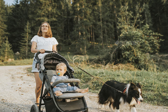 Mother with baby in stroller and dog walking on forest path