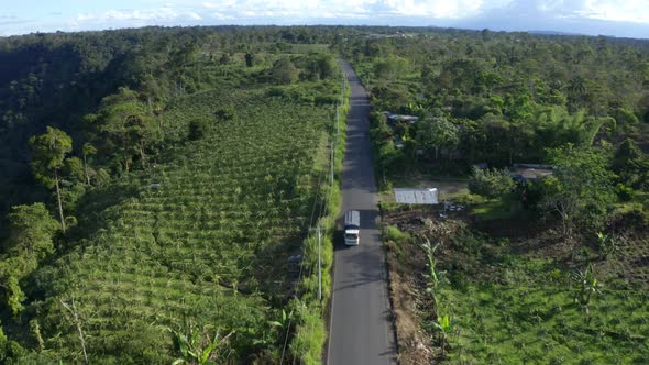 Folllowing a road with pitagaya plantations at both sides and several houses alt
