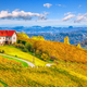 Fabulous vineyards landscape in South Styria near Gamlitz. - PhotoDune Item for Sale