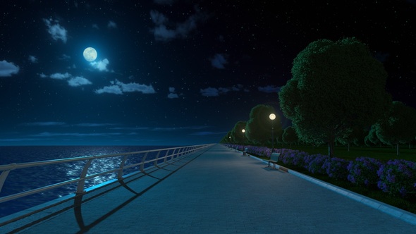 Walking in the Night Park by VisualSkyFX | VideoHive