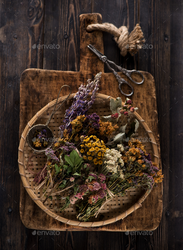 Medicinal healing herbs and flowers for herbal tea, top view. Stock